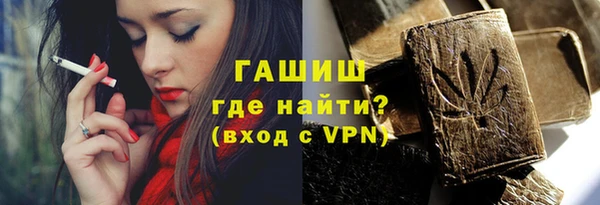 тгк Гусев