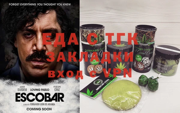 тгк Гусев