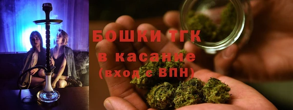 тгк Гусев
