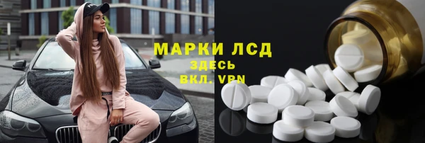 тгк Гусев