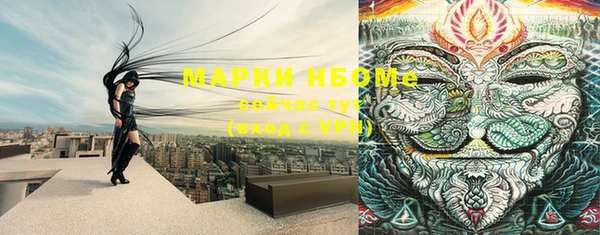 прущий лед Гусиноозёрск