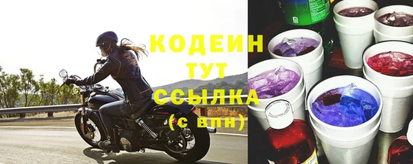 тгк Гусев