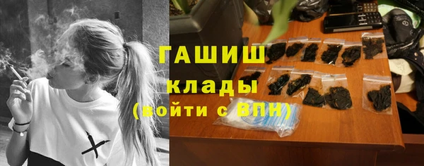 тгк Гусев