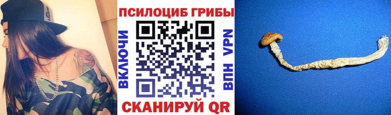 mega рабочий сайт Иваново Псилоцибиновые грибы MAGIC MUSHROOMS что такое